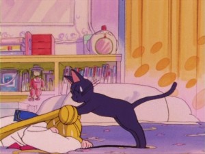 Luna waking Usagi