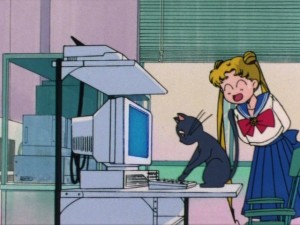 Luna using a computer
