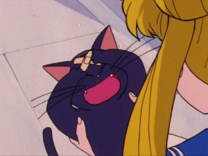 Sailor Moon episode 1 - Luna freaking out with a bandage on her head