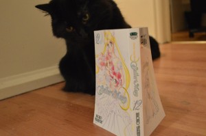 Luna reading vol. 12 of the Sailor Moon manga