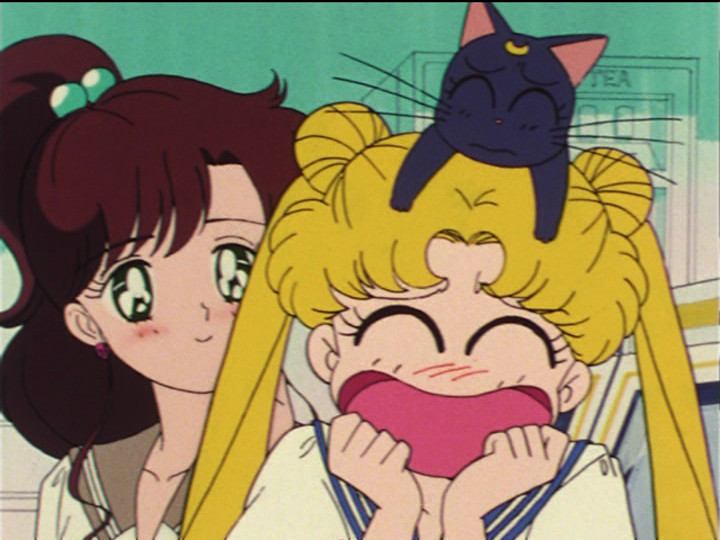 Makoto, Usagi and Luna