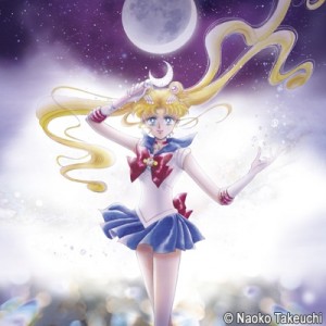 Sailor Moon Memorial Tribute Album vinyl edition - Moonlight Densetsu and Tuxedo Mirage