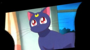 Sailor Moon Crystal episode 01 - Luna