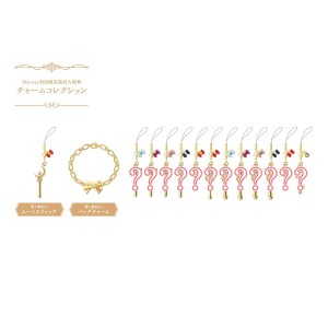 Sailor Moon Crystal DVD and Blu-Ray Charm Bracelet