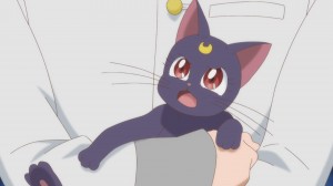 Sailor Moon Crystal Act 4 - No cats allowed