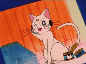 Sailor Moon episode 37 - Artemis is Luna's contact