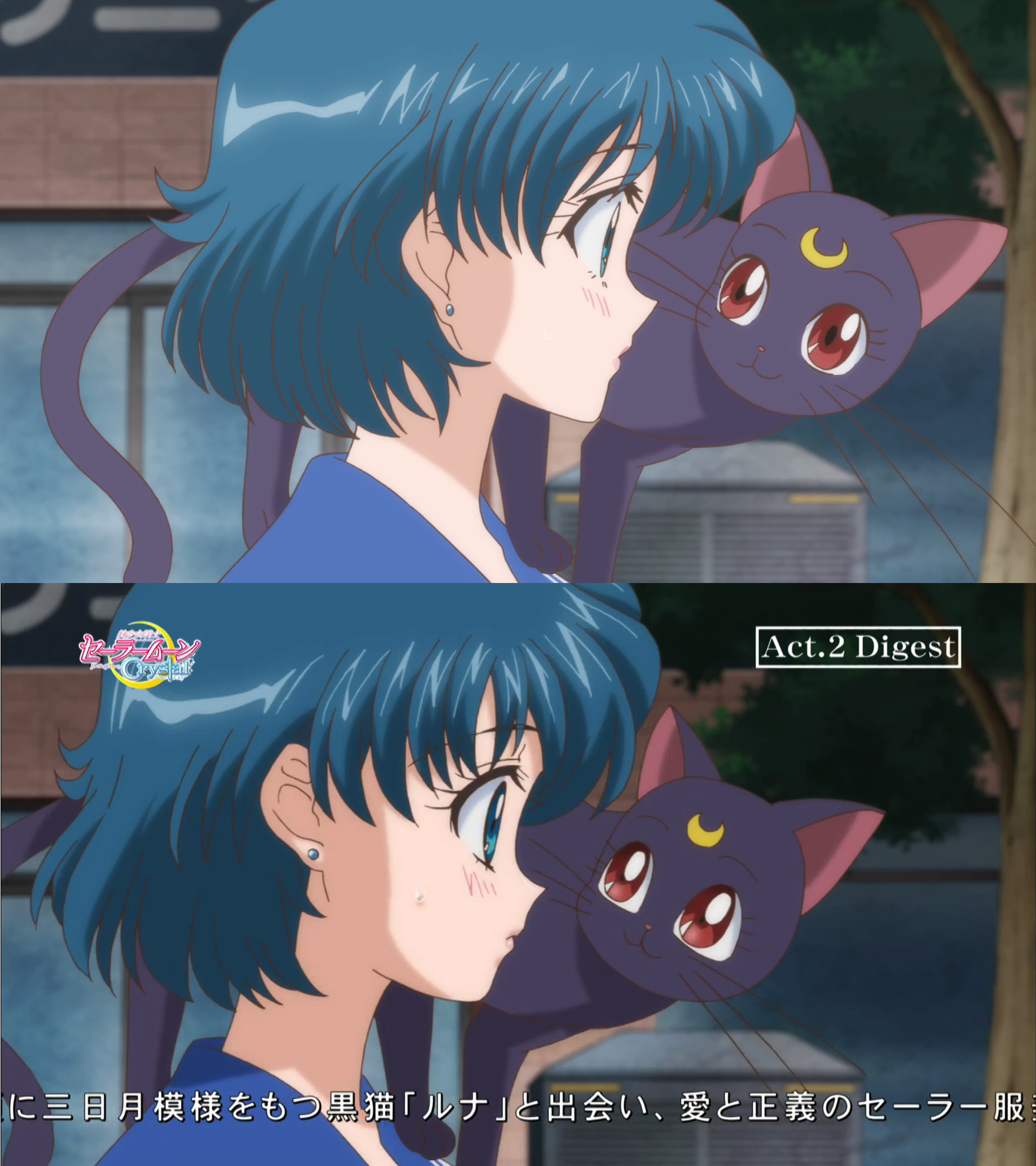 Streamed version to Blu-Ray comparison - Sailor Moon Crystal Act 2 - Ami an...