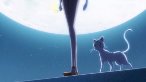 Sailor Moon Crystal Act 7 - Artemis and Sailor Venus
