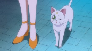 Sailor Moon Crystal Act 8 - Artemis winking