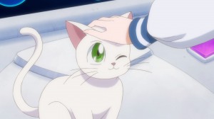 Sailor Moon Crystal Act 8 - Minako petting Artemis