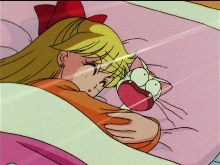 Sailor Moon R episode 52 - Minako hugging Artemis