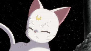 Sailor Moon Crystal Act 14 - Artemis