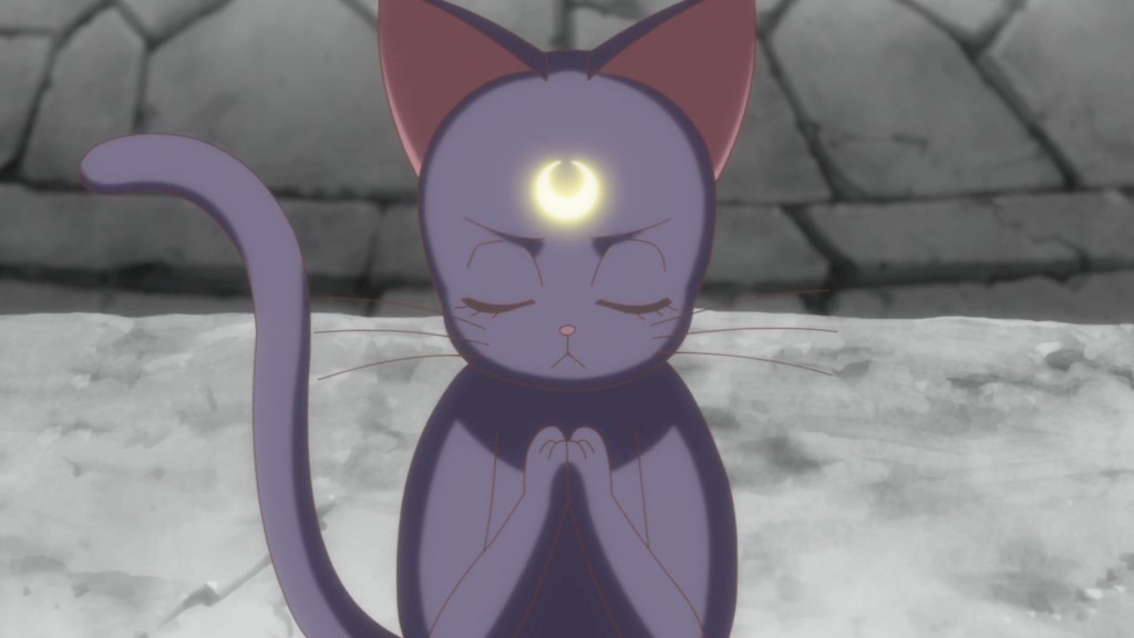 Sailor Moon Crystal Act 14 - Luna praying