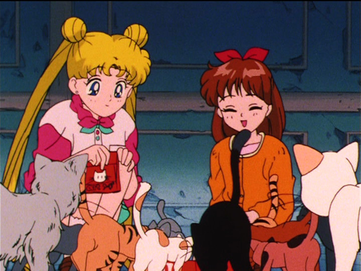 Sailor Moon S episode 91 - Usagi, Miharu and a bunch of cats