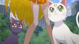 Sailor Moon Crystal Act 19 - Artemis wants to save the Sailor Guardians