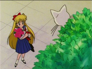 Sailor Moon S episode 100 - Minako gets flowers from Artemis