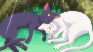 Sailor Moon Crystal Act 26 - Random shot of Luna and Artemis