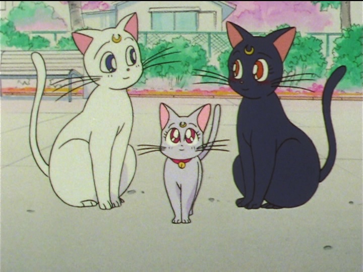 Sailor Moon SuperS episode 133 - Artemis, Luna and Diana