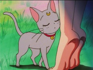 Sailor Moon SuperS episode 137 - Diana smelling Fish Eye