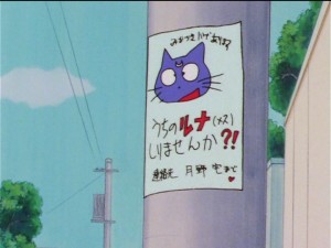 Sailor Moon Sailor Stars episode 178 - Lost cat Luna