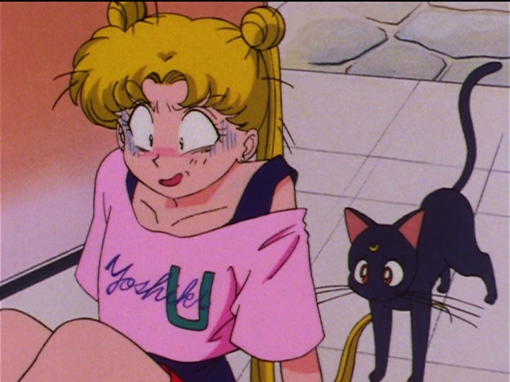 Sailor Moon Sailor Stars episode 182 - Usagi in her designer shirt