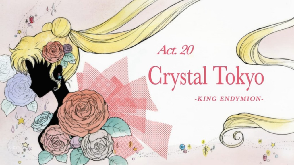 Sailor Moon Crystal Act 20 - Crystal Tokyo - King Endymion