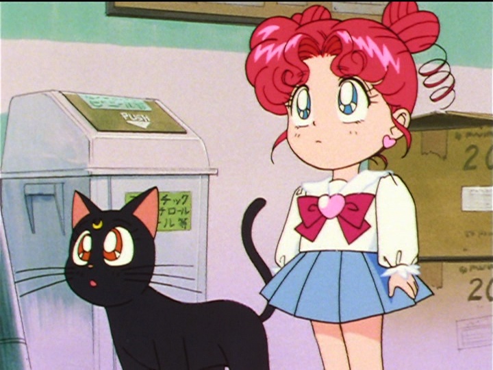 Sailor Moon Sailor Stars episode 192 - Luna watches Chibi Chibi