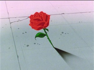 Sailor Moon Sailor Stars episode 194 - Seiya's rose