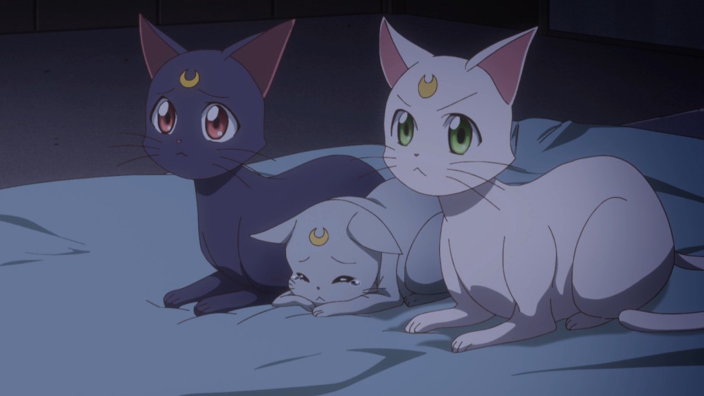 Sailor Moon Crystal Act 34 - The cats mourn the death of Chibiusa