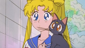 Make Up! Sailor Senshi - Usagi and Luna