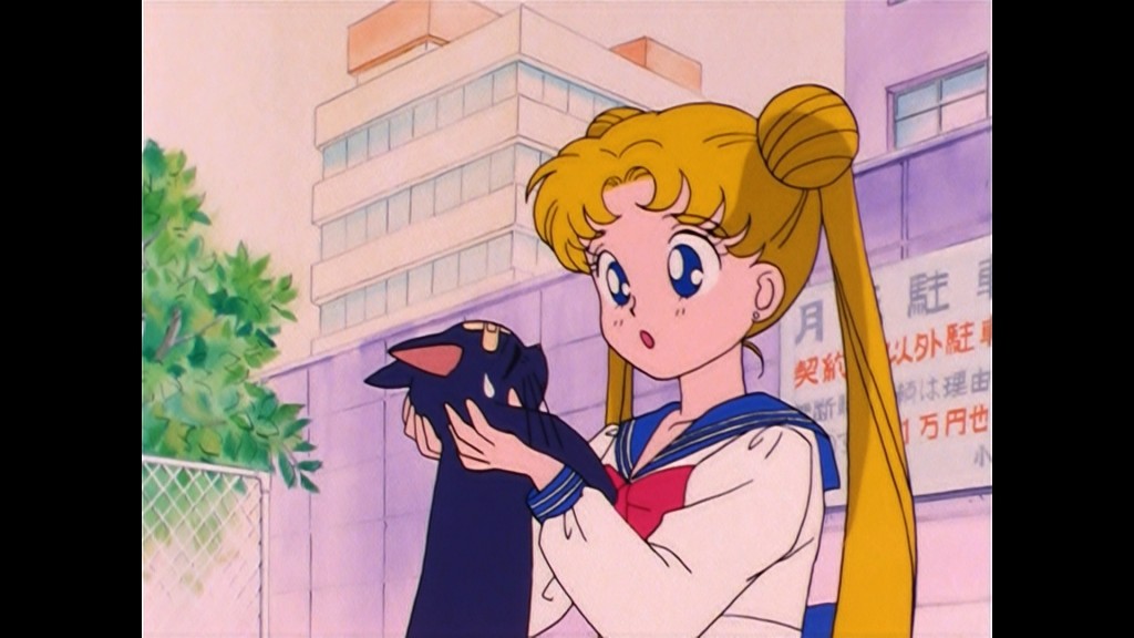 Sailor Moon Episode 1 - Viz Blu-Ray - Usagi meets Luna