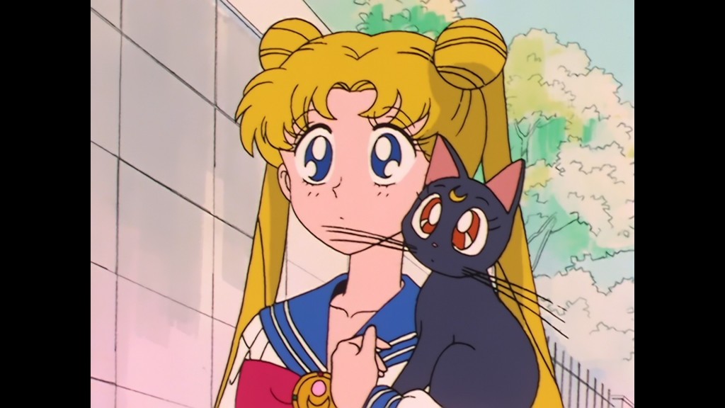 Sailor Moon episode 8 - Japanese Blu-Ray - Usagi and Luna