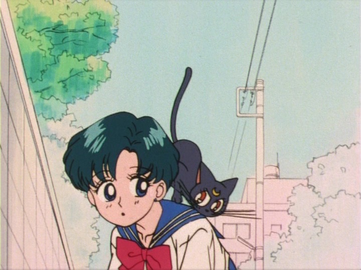 Sailor Moon episode 8 - Japanese DVD - Ami and Luna