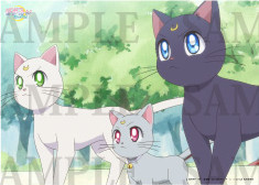 Sailor Moon Eternal - Artemis, Diana and Luna