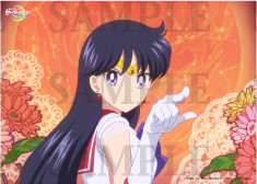 Sailor Moon Eternal - Sailor Mars poses