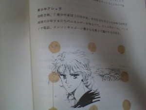 Sailor V Anime Program Plan - Close up of Ashura